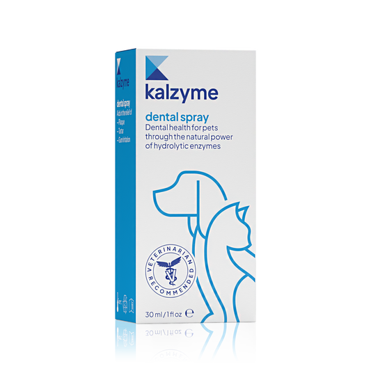 Kalzyme Dental Spray 30ml