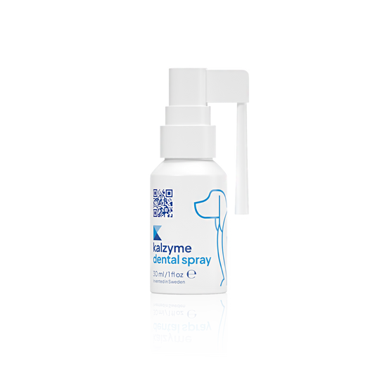 Kalzyme Dental Spray 30ml